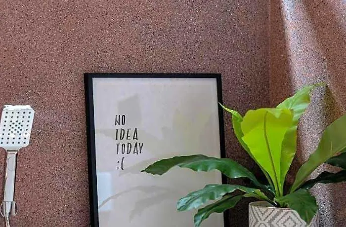 B House 49 曼谷